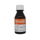 Brodil